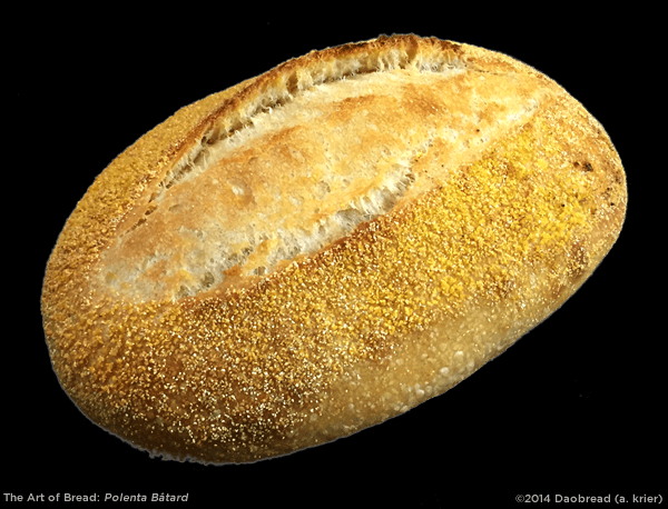 Art of Bread: Polenta Batard