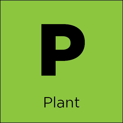 Contains Plant Materials 