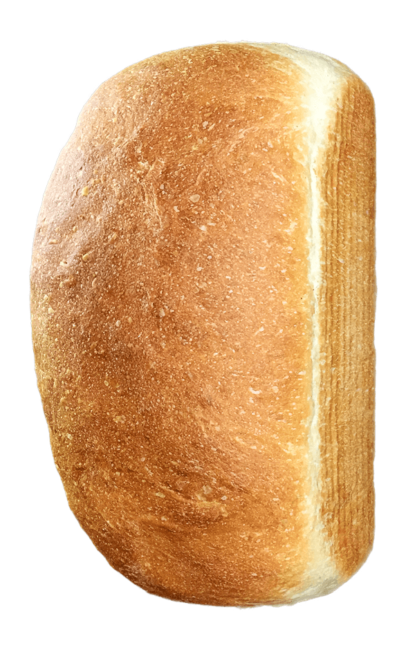 Simple White Sandwich