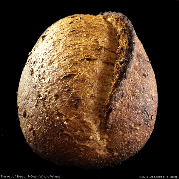Photo of a 7-Grain Whole Wheat Loaf