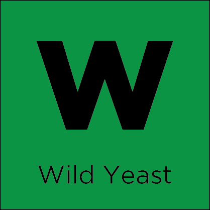 Wild Yeast Leaven