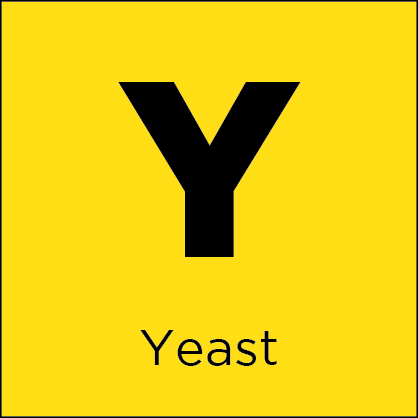 Commercial Yeast